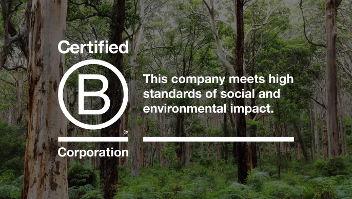 B Corporation